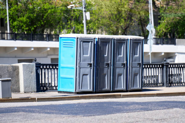 Best Affordable portable toilet rental  in Mahtomedi, MN
